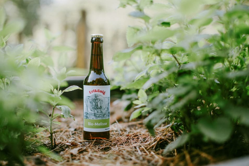 Flasche Bio-Melisse-Getränk Erlkönig im Pflanzenbeet